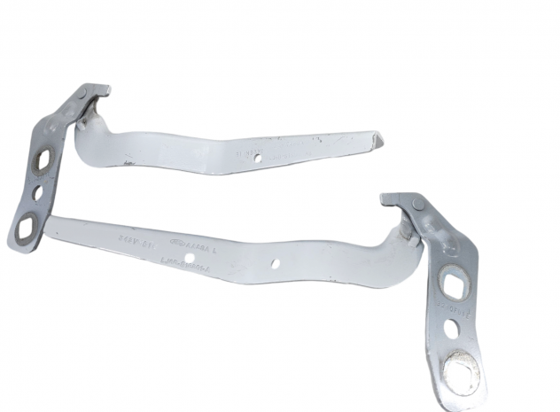 CERNIERE COFANO ANTERIORE DX E SX FORD Kuga Serie (DFK) LJ6B-S16800-AB (19) - Foto 4