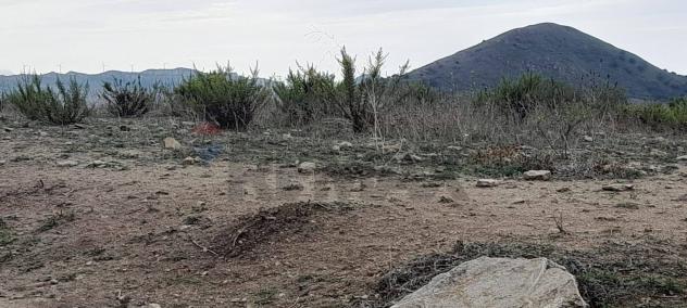 Terreno in vendita a Caccamo - Foto 6