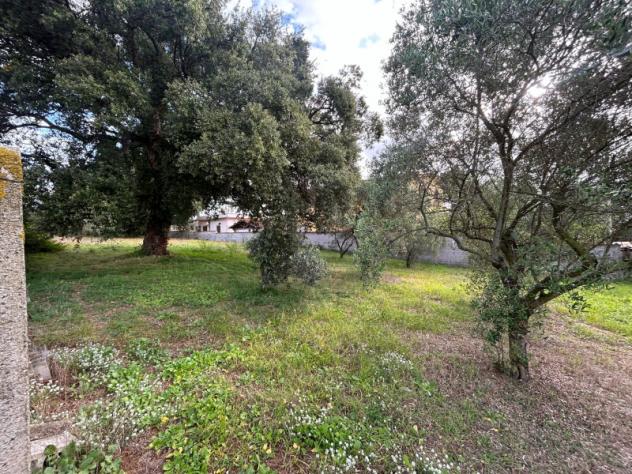 Edificabile in Via Carpineto Romano - Foto 2