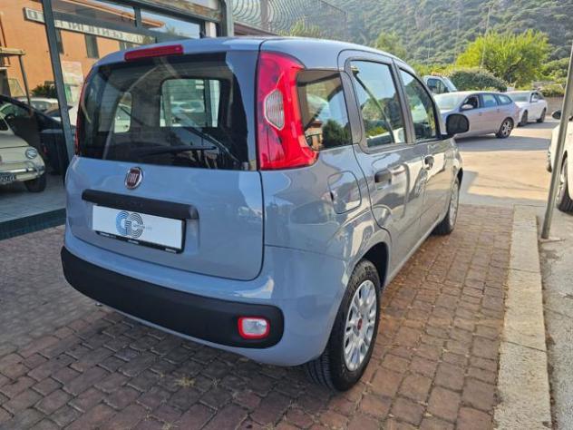 FIAT Panda 1.0 FireFly S&S Hybrid rif. 22500823 - Foto 4