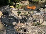 Bicicletta usata Milano da Uomo City Bike - DONISELLI Milano- freni bacchetta
