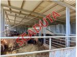 Immobile in asta di 96 m² in vendita a Pisticci