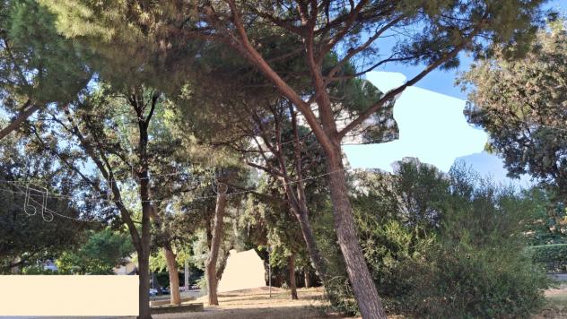 3 Vetrine in vendita a Rimini