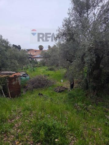 Terreno in vendita a Mascalucia - Foto 8