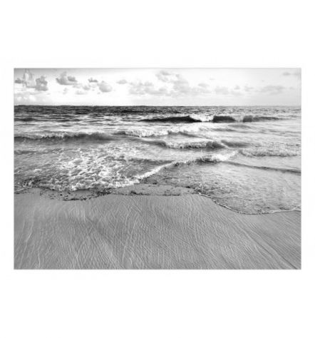 Fotomurale Adesivo Tra Le Onde In Bianco E Nero Arredalacasa - Foto 2
