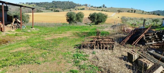Casa singola in vendita a Cupi - Magliano in Toscana 250 mq Rif: 1245233 - Foto 8