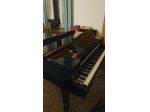 Pianoforte acustico Yamaha G 2 (mezza coda)