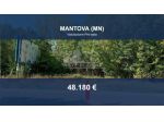 Immobile in asta di 1585 m² in vendita a Mantova