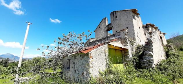 Uliveto in vendita a Montecorvino Rovella - Foto 4