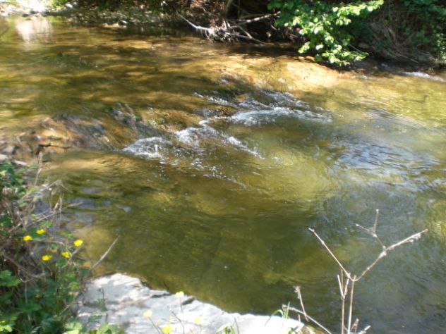 Rustico ex mulino in sassi vic.ze ruscello con terreno 3 ettari - Foto 2