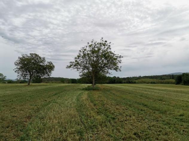 Terreno agricolo in vendita a Poggibonsi 3500 mq Rif: 1290553 - Foto 3