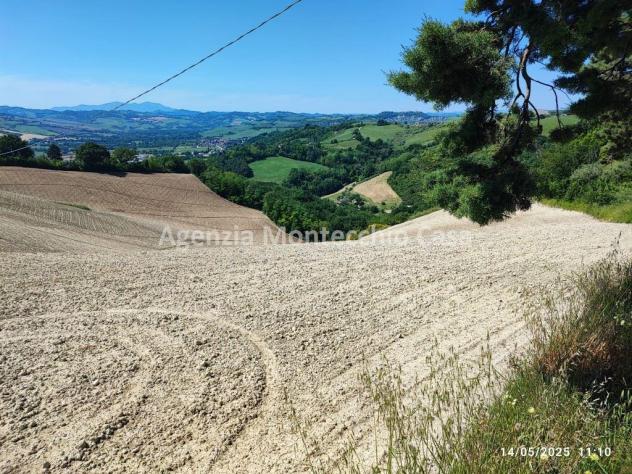 Terreno agricolo, bosco e capanno - Foto 8