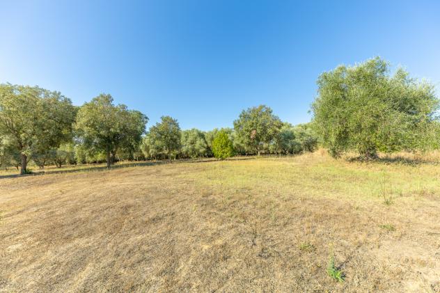 Villa in vendita a Montalto di Castro - Foto 20