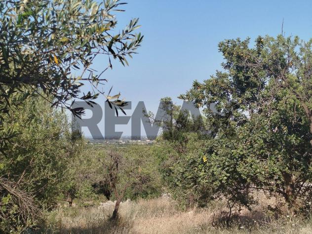 Terreno in vendita a Canicattini Bagni - Foto 12