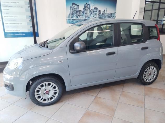 Fiat Panda 1.2 Easy - 11/2020