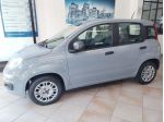 Fiat Panda 1.2 Easy - 11/2020