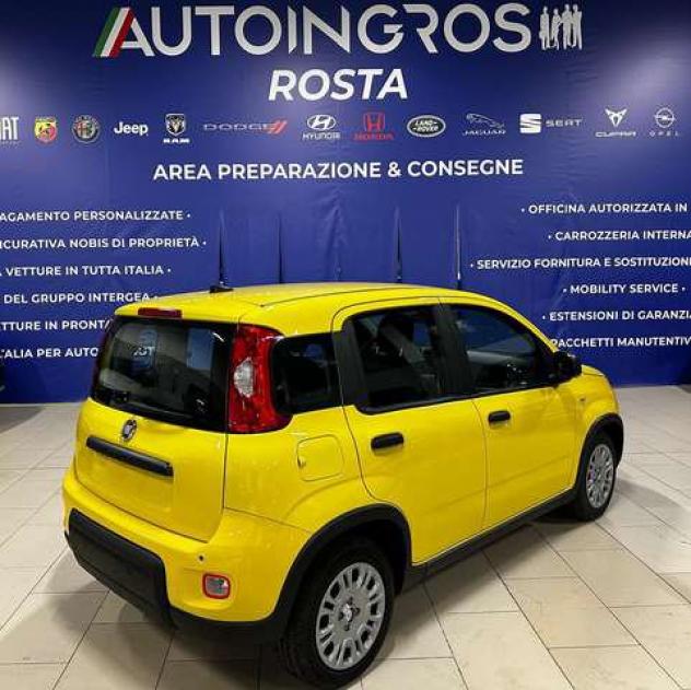 FIAT Panda 1.0 firefly hybrid 70CV s&s NUOVA DA IMMATRICOLARE - Foto 2