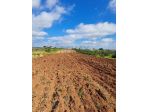 Terreno in vendita a Mazara del Vallo