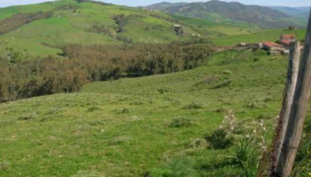 Immobile in asta di 26049 m² in vendita a Nissoria - Foto 3