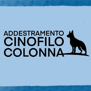 Dog dance e disc dog