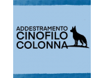 Dog dance e disc dog