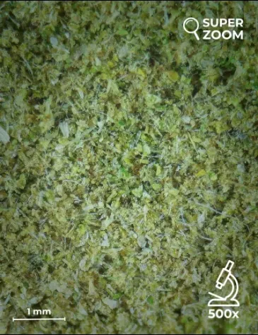 Kief CBD - Foto 2