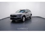 SKODA Kodiaq 2.0 TDI 150cv EVO SCR DSG 7 Posti Executive rif. 23786840