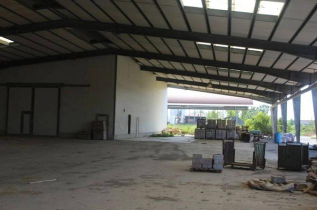 Immobile in asta di 41493 m² in vendita a Asciano - Foto 16