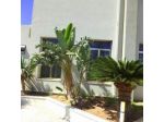 Il Giardino di Enea
