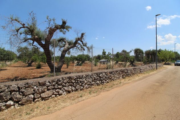 TERRENO AGRICOLO VIA DELLE ROSE GROTTAGLIE - Foto 8