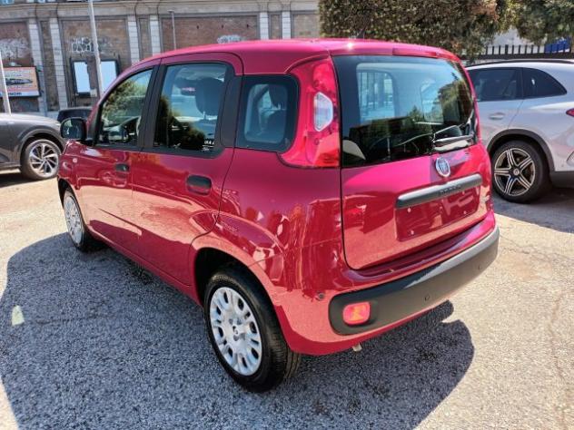 FIAT Panda 1000 HYBRID 70 CV PDC ITALIA rif. 23993231 - Foto 5