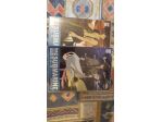 Blue submarine no. 6 Completo 2 DVD
