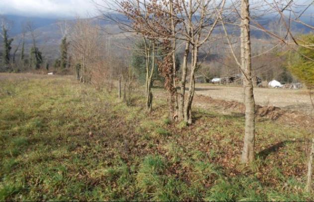 Immobile in asta di 13290 m² in vendita a Aviano - Foto 7