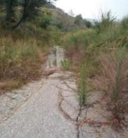 Immobile in asta di 21130 m² in vendita a Torano Castello - Foto 3