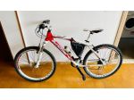 Mountain bike Bottecchia fx510