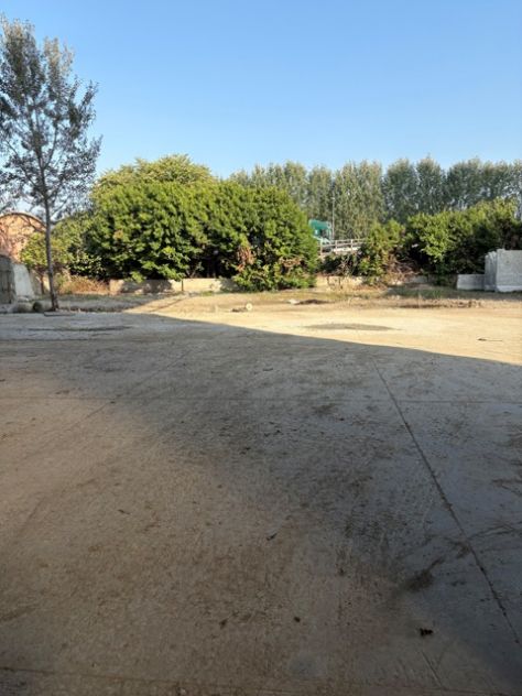 capannone - Foto 3