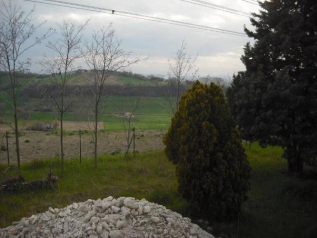 Immobile in asta di 540 m² con più di 5 locali in vendita a Senigallia - Foto 5