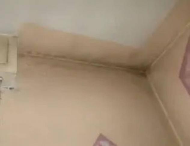 Immobile in asta di 93 m², box auto in vendita a Luzzara - Foto 11