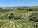 Azienda agricola in vendita a Mura - Montaione 101980 mq  Rif: 1334770