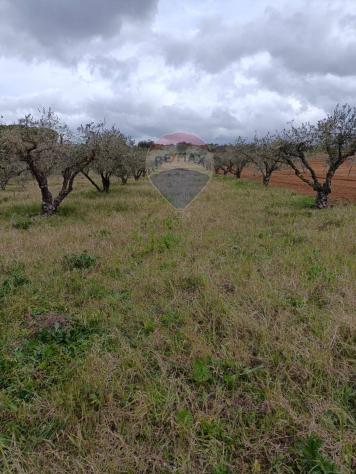 Terreno in vendita a Caltagirone, Santo Pietro - Foto 20