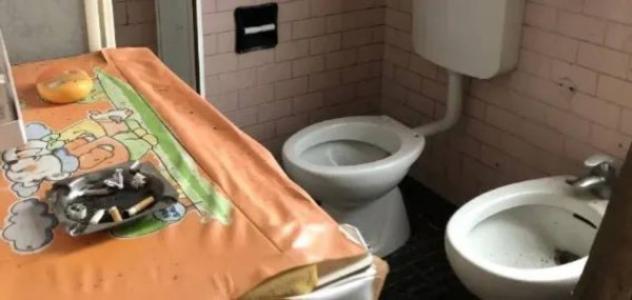 Immobile in asta di 321 m² con più di 5 locali in vendita a Polesine Zibello - Foto 3
