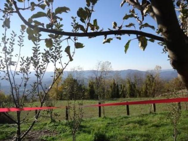 Rustico in vendita a Fivizzano 8000 mq Rif: 1177777 - Foto 4