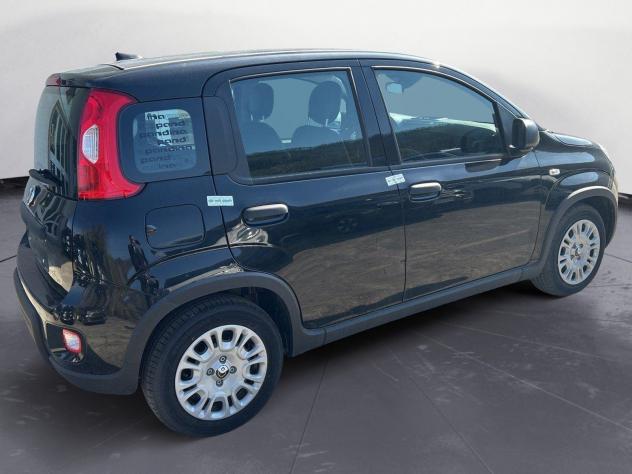 FIAT Panda 1.0 firefly hybrid s&s 70cv - Foto 6