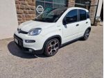 FIAT Panda 1.0 FireFly S&S Hybrid Sport rif. 22702657