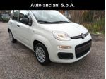 FIAT Panda 1000 HYBRID PANDINA POP 65CV ITALIA rif. 23999454