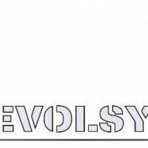 Evolsystem