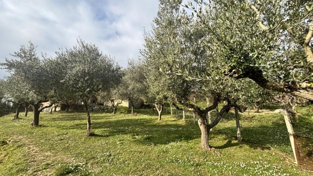Rustico/Casale/Corte - Alatri . Rif.: Cod. rif 3297841VRG - Foto 8