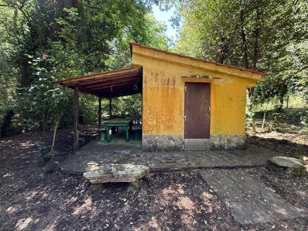 Annesso agricolo in vendita a Buti 3800 mq Rif: 1410233