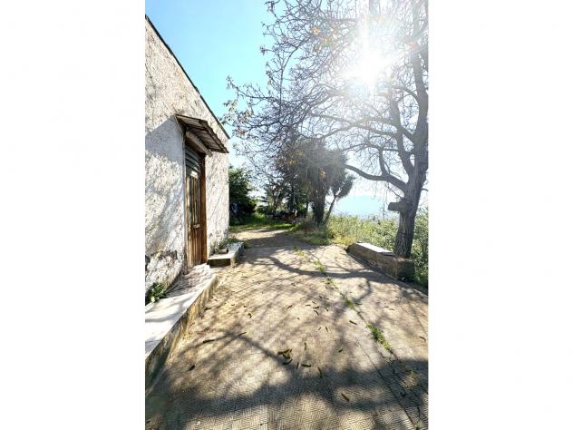 Agricolo in Via Provinciale Per Castello