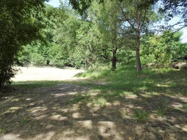 Terreno agricolo in vendita a Poggibonsi 25000 mq Rif: 1292617 - Foto 4